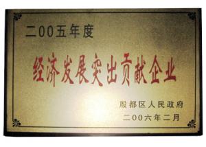 經(jīng)濟(jì)發(fā)展突出貢獻(xiàn)
